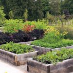 slingsby ingredients